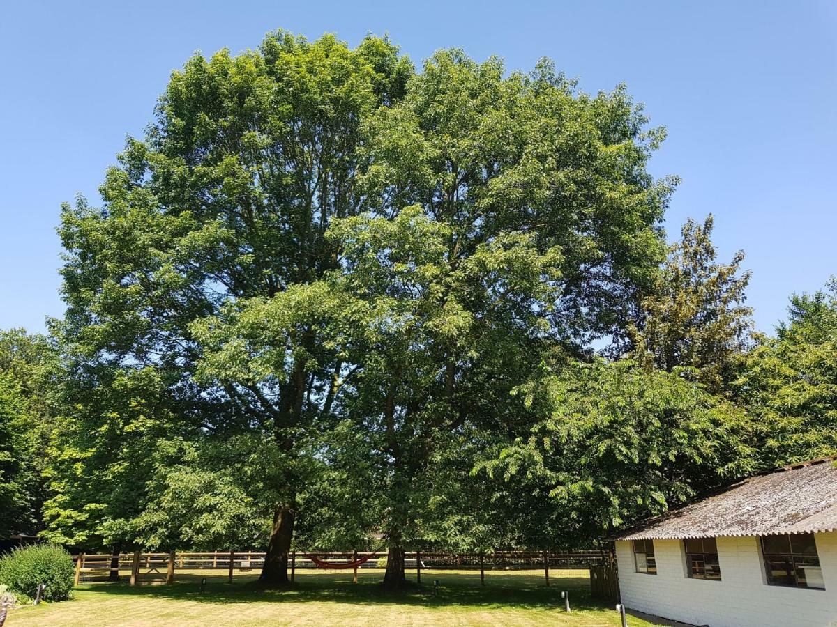 The Two Oaks - Private Garden For Guests Villa Hertsberge Екстериор снимка